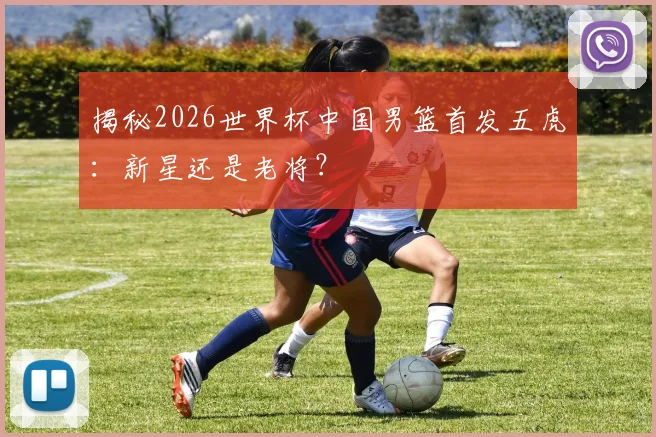 揭秘2026世界杯中国男篮首发五虎:新星还是老将?
