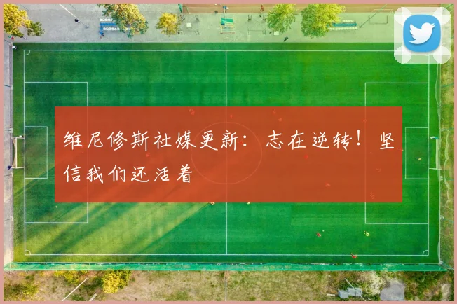 维尼修斯社媒更新:志在逆转!坚信我们还活着